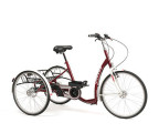 Tricycle adulte